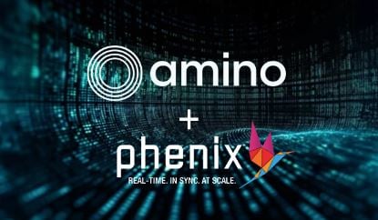 Amino Partnership